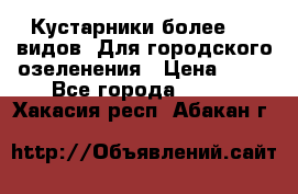 Кустарники более 100 видов. Для городского озеленения › Цена ­ 70 - Все города  »    . Хакасия респ.,Абакан г.